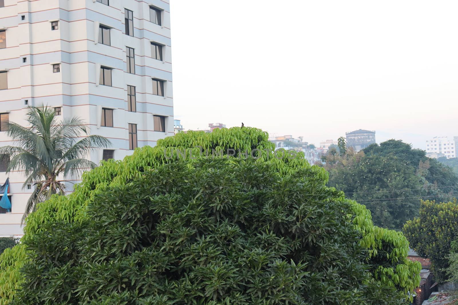 appartment view with nature on city