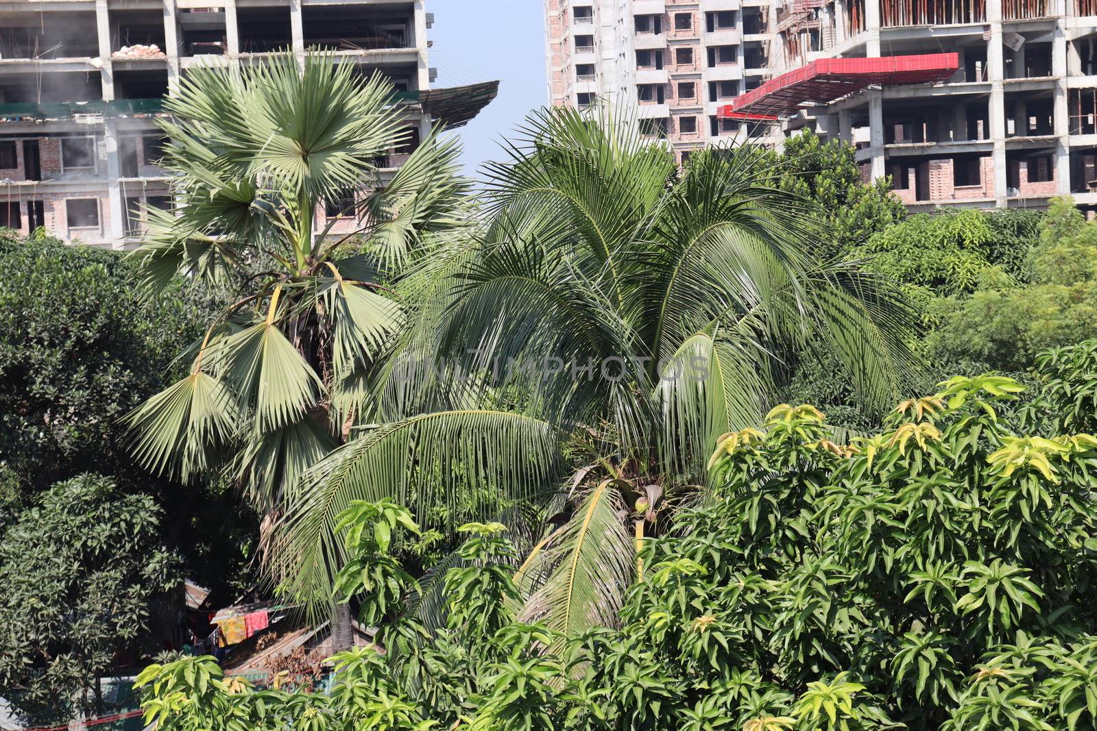 appartment view with nature on city