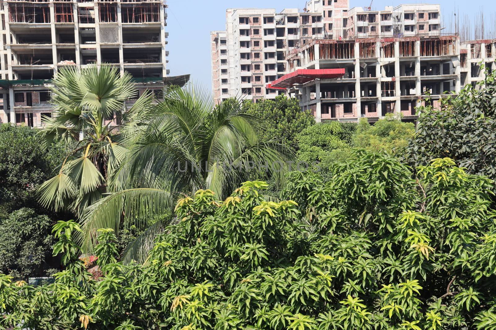 appartment view with nature on city