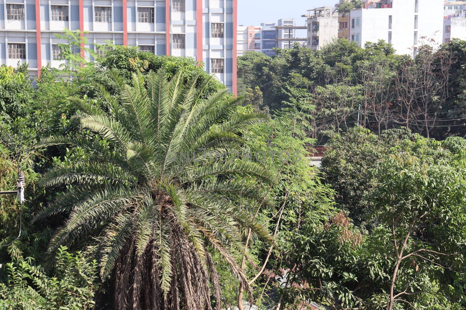 appartment view with nature on city