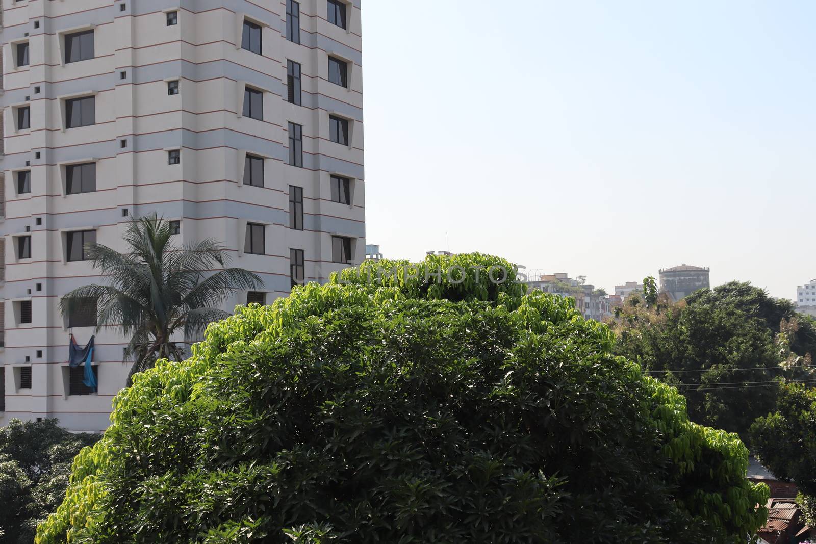 appartment view with nature on city