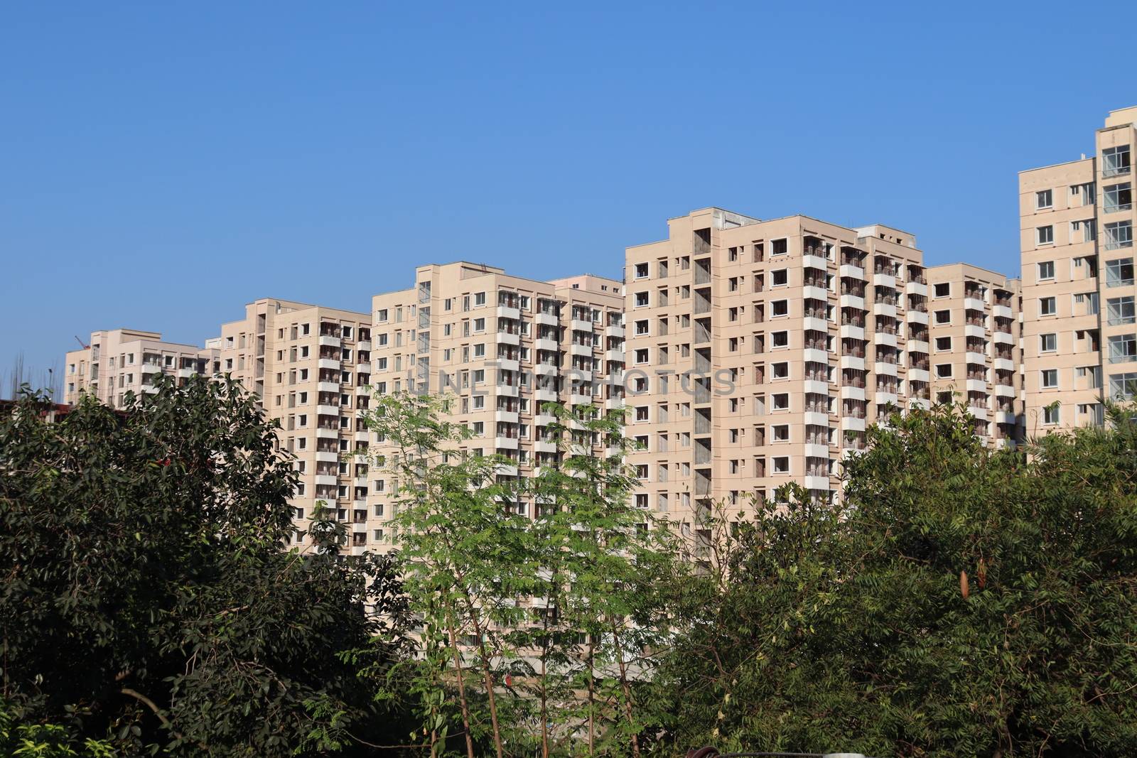 appartment view with nature on city