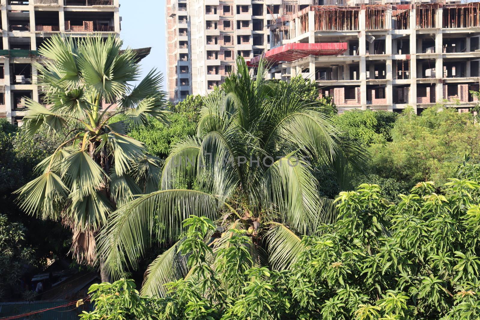 appartment view with nature on city