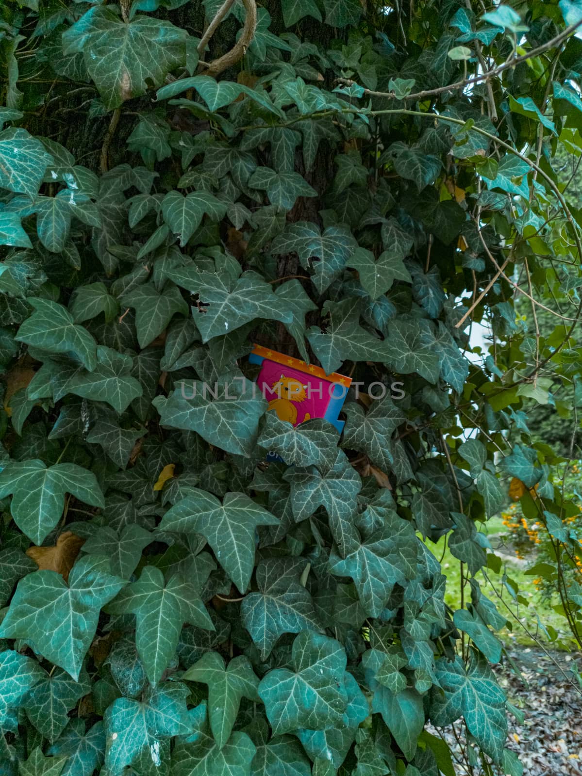 Image of a cat hanging on tree with green ivy around by Wierzchu