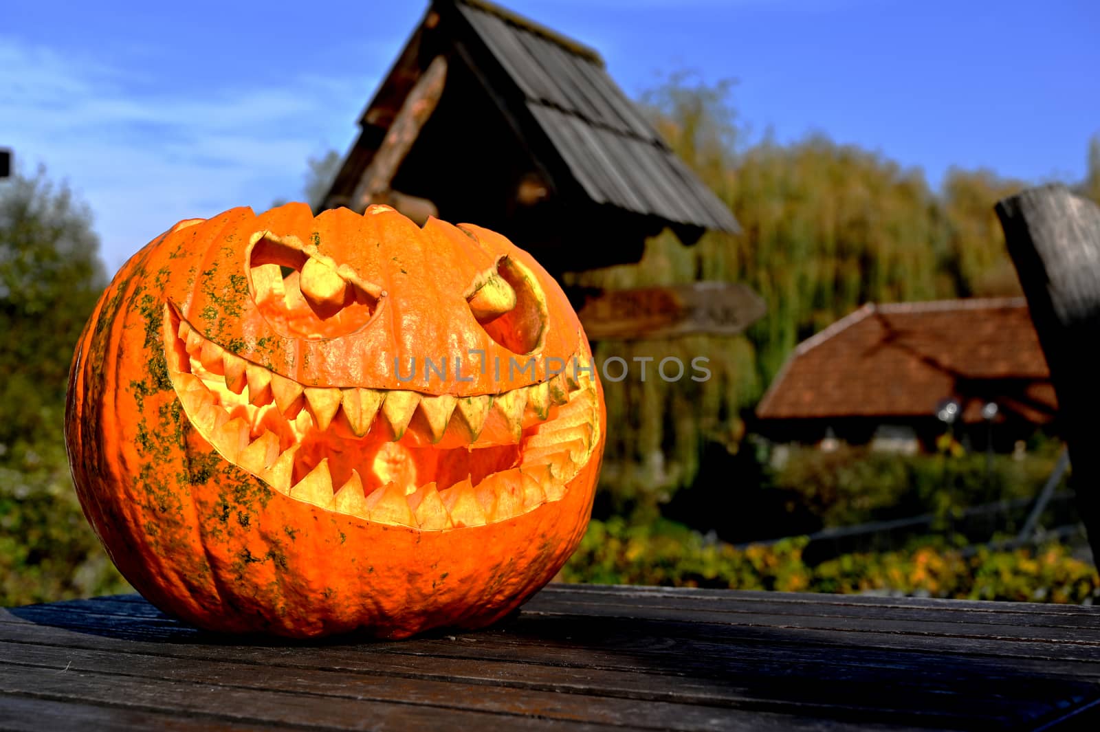 Halloween pumpkin on wood in a spooky village by mixeey