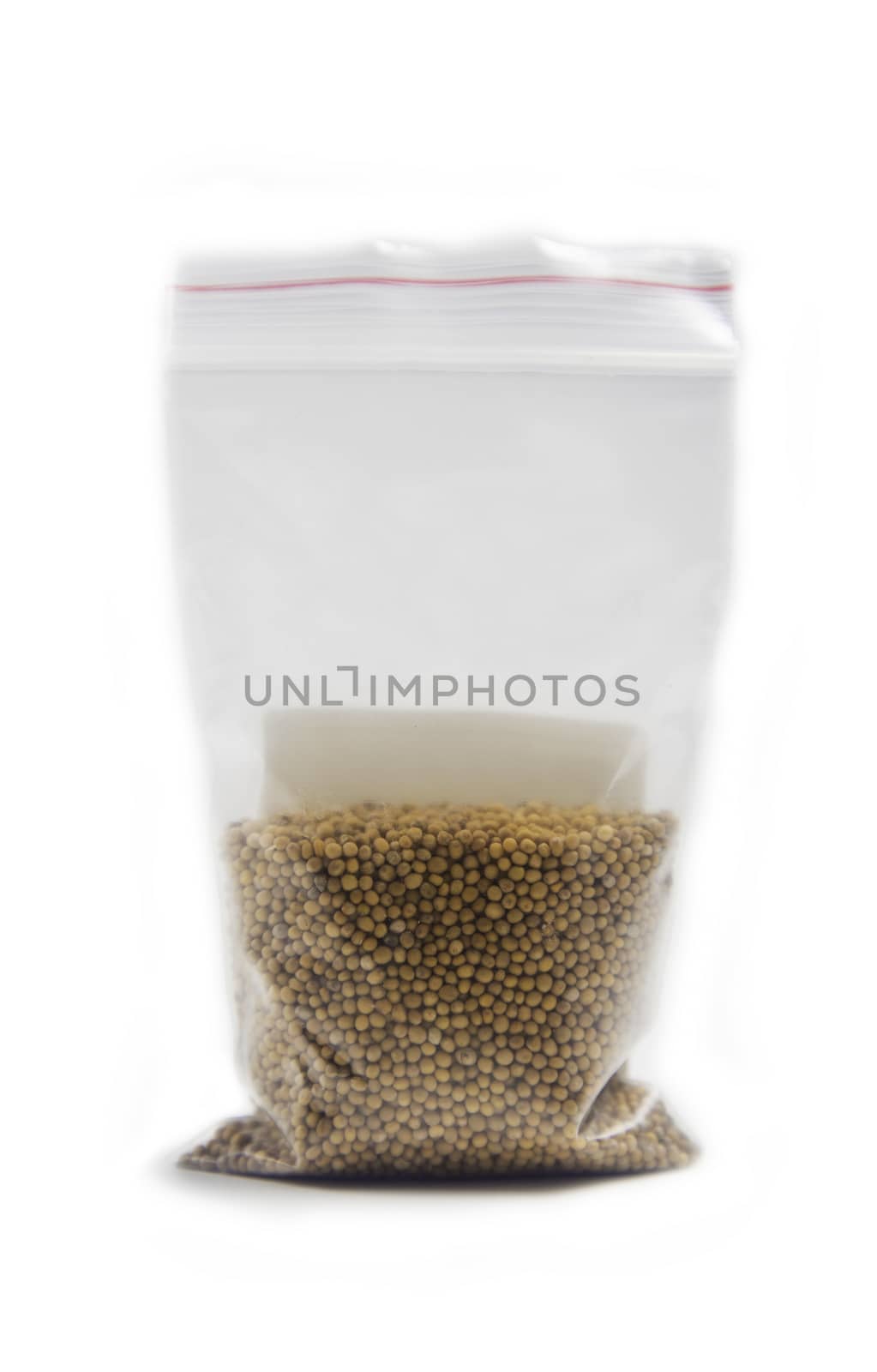 White mustard seeds for germination in bag isolated on a white background.