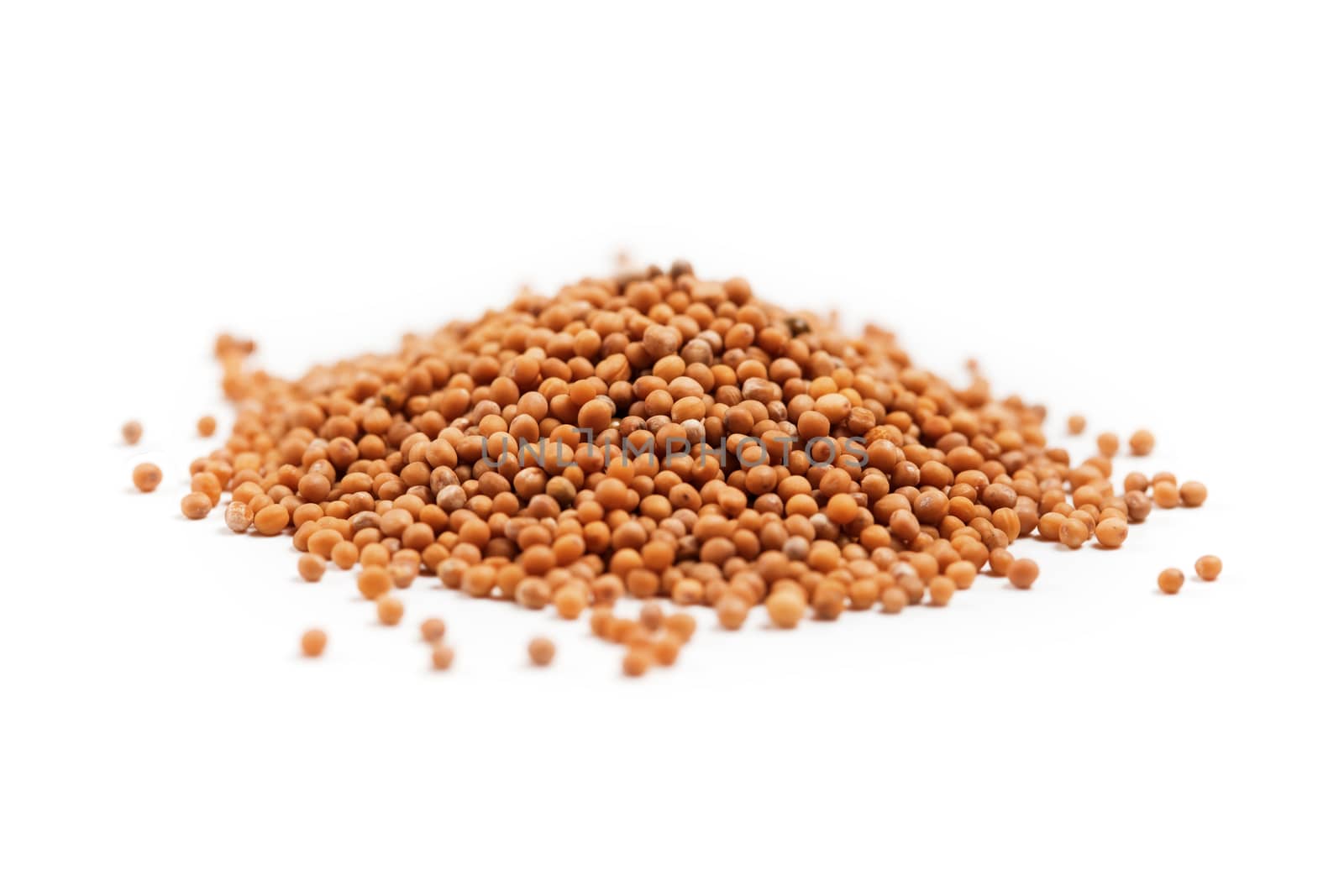 White mustard seeds for germination in heap isolated on a white background by galinasharapova