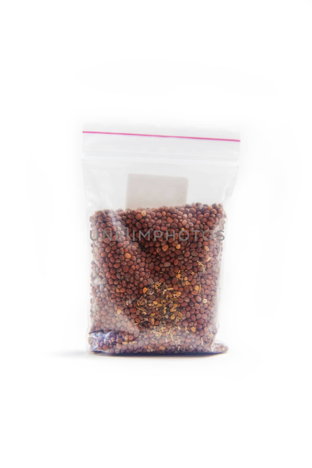 Chinese radish seeds in a package for germination on a white background by galinasharapova
