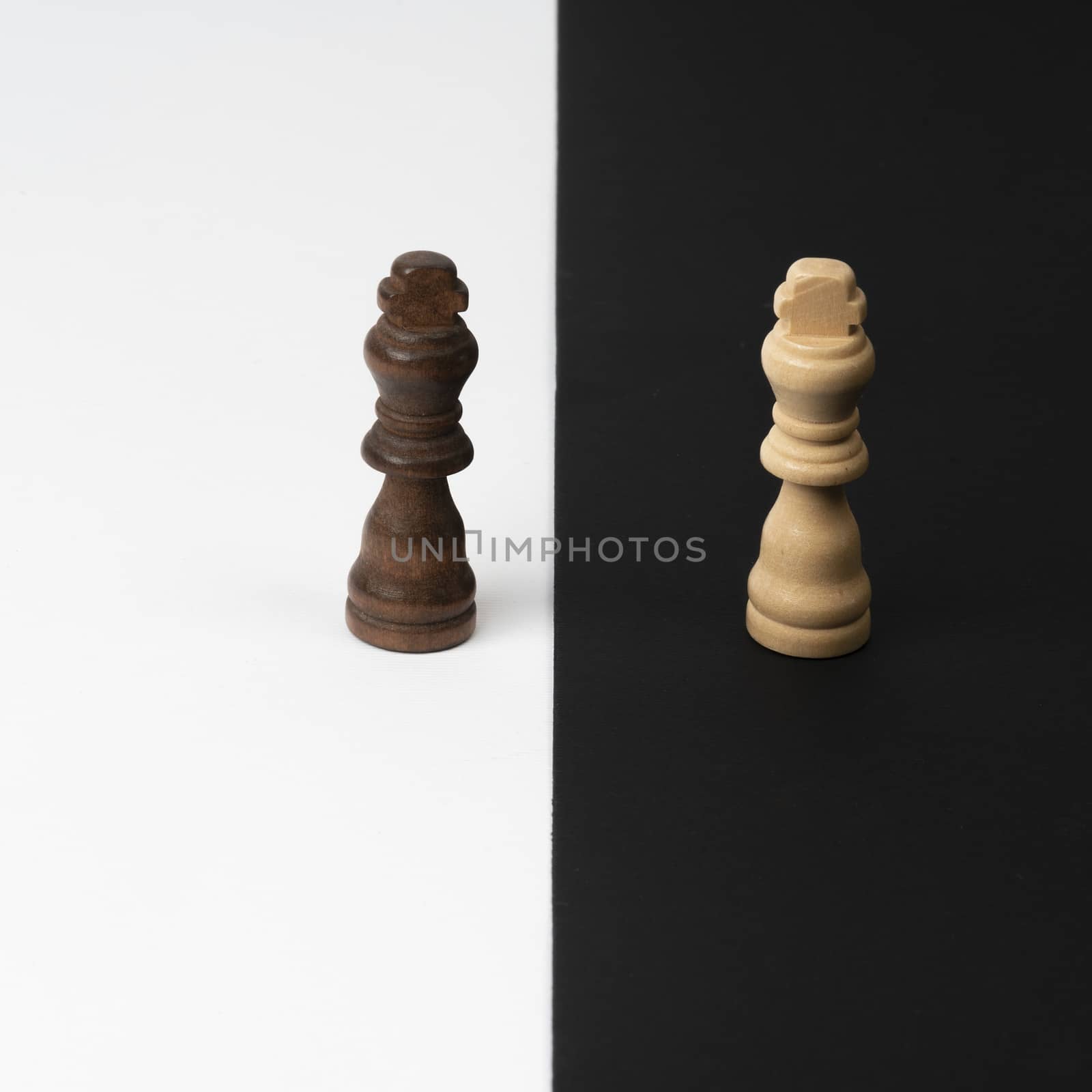 two contrasting colored chess pieces