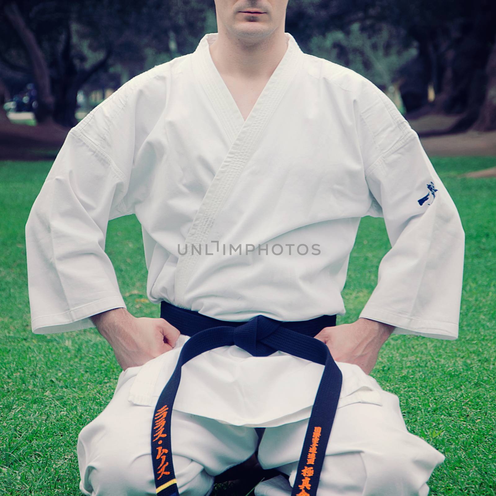 Sportsman martial art taekwondo training, in karate position. MMA - Mixed martial art. Selective focus on fist. Portrait of screaming karate master instructor.
