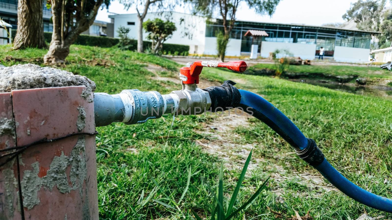 Hose connected to the water pipe on the green grass. The hose is blue and the silver pipe with red key.