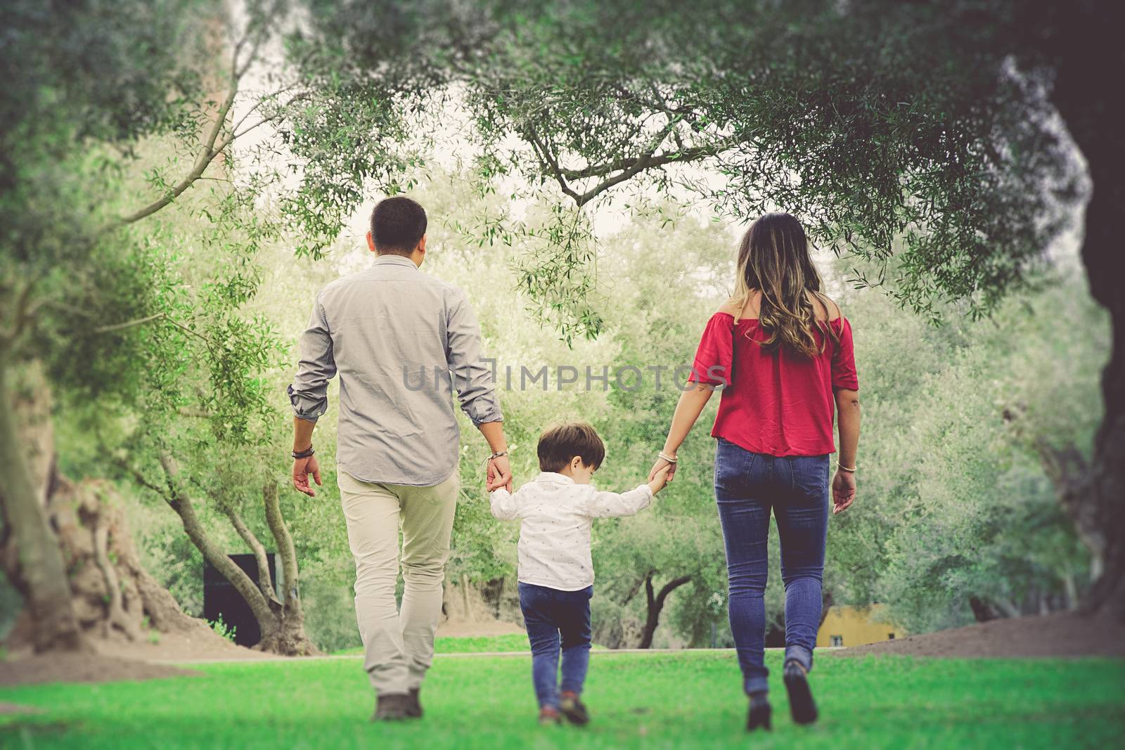 Rear view of young family holding hands walking in forest