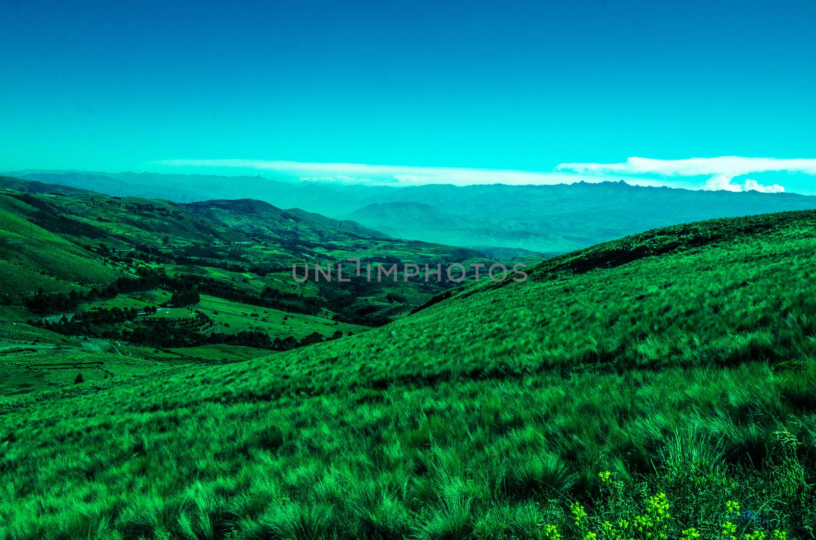 Landscape of Quinoa's Pampa in Ayacucho - Peru.
