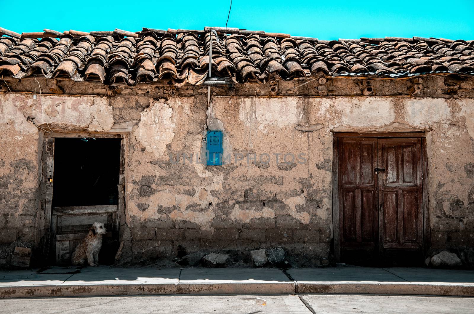 An old house in Ayacucho - Peru where a cute puppy was sitting in the entrance
