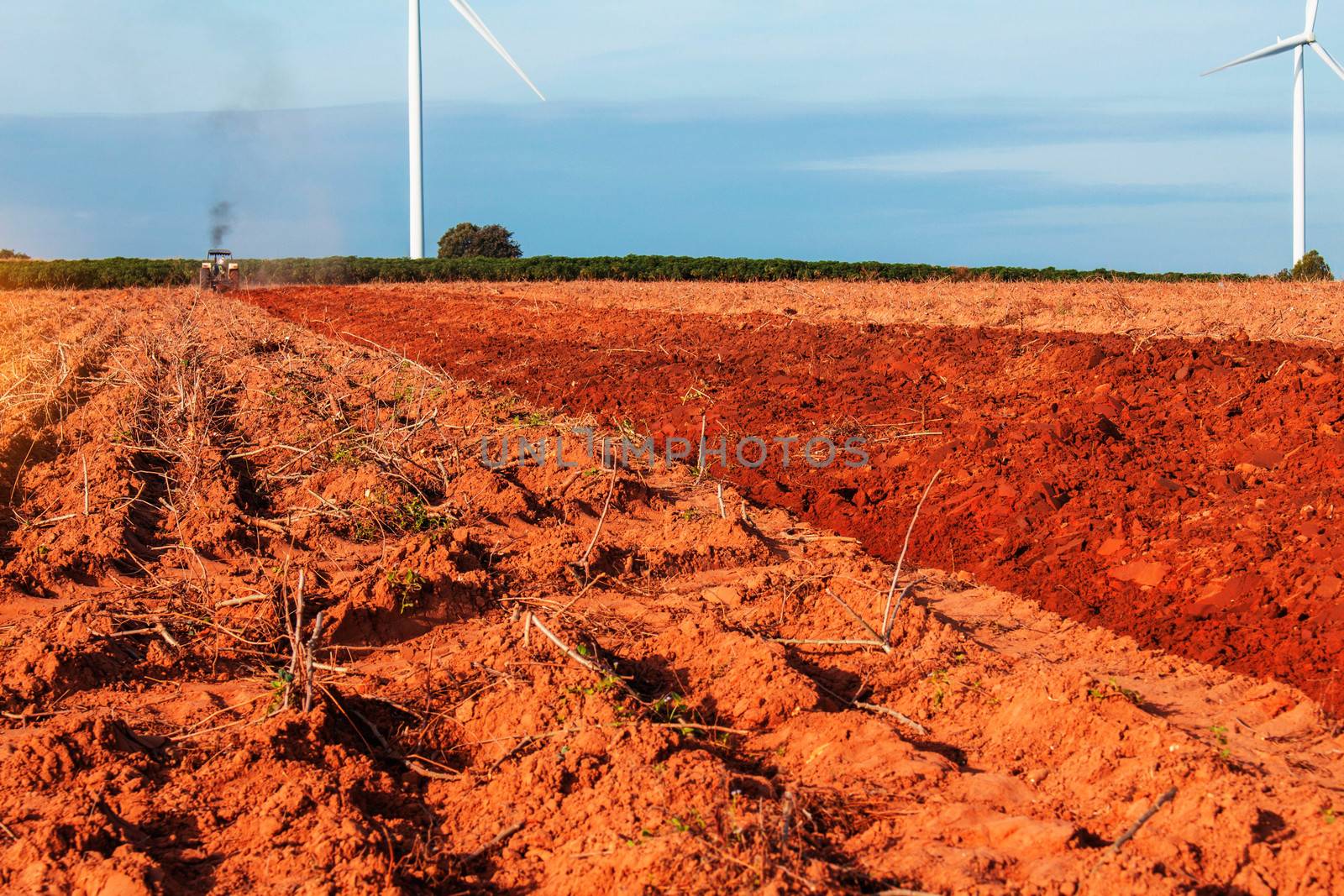 rural field with the blue sky. by start08