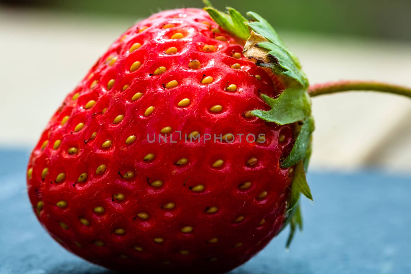 Close up of fresh strawberry showing seeds achenes. Details of a by vladispas