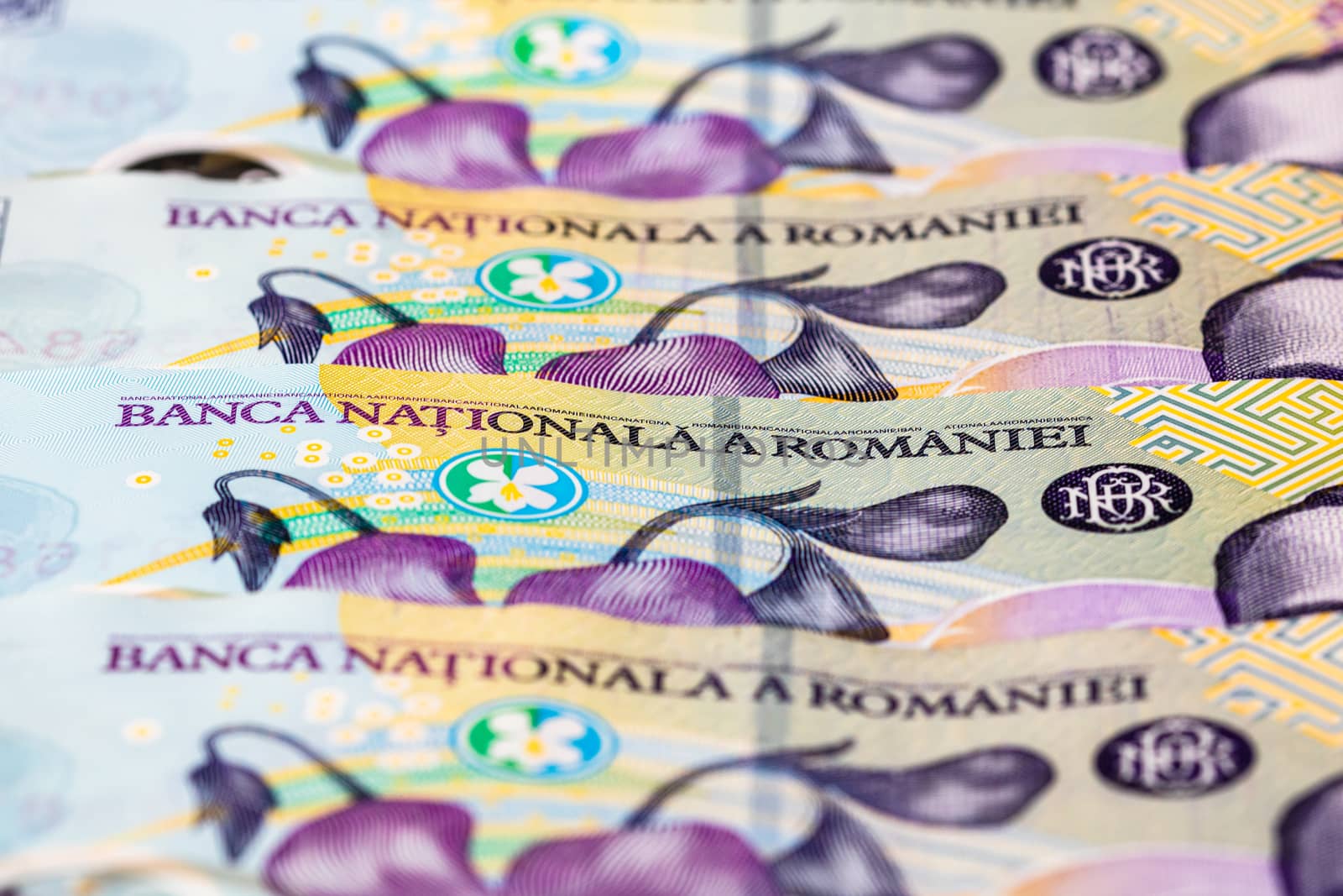 Selective focus on detail of lei banknotes. Close up macro detai by vladispas