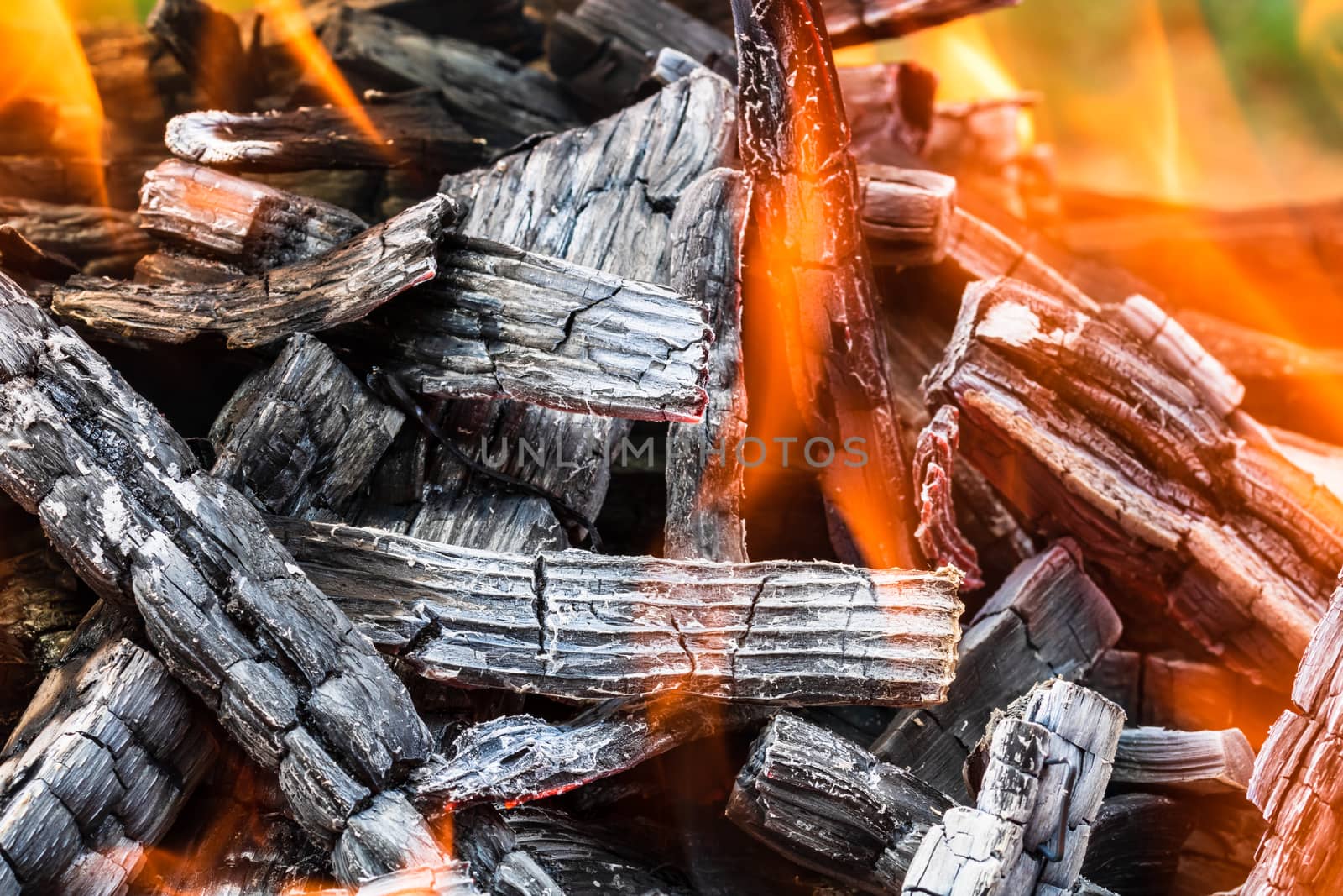 Burning wood chips forming coal. Barbecue preparation, fire befo by vladispas