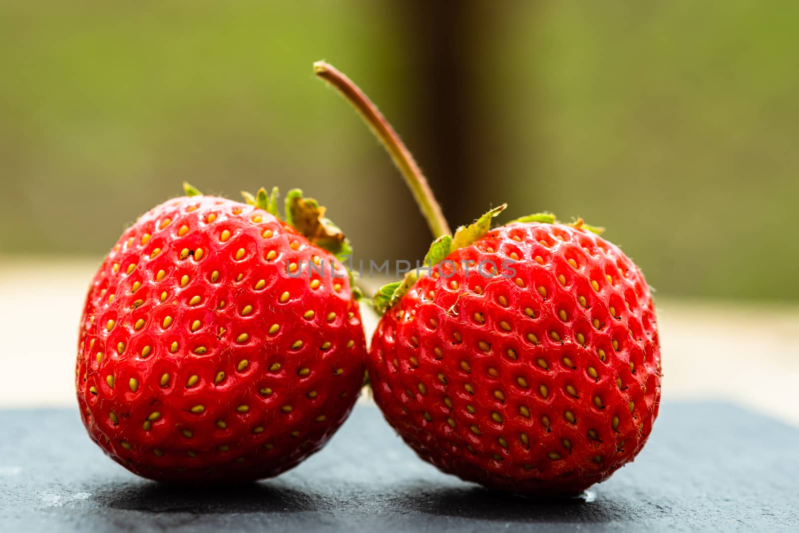 Close up of fresh strawberries showing seeds achenes. Details of by vladispas