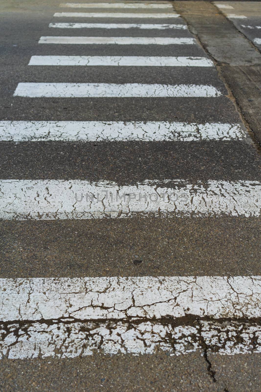 Empty pedestrian crossing, crosswalk on the road isolated