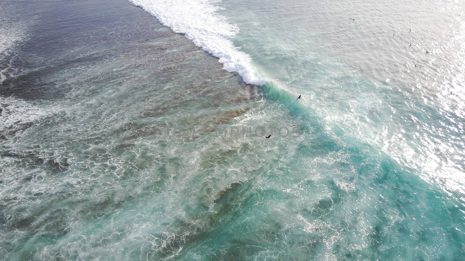 Surfers catch waves at Uluwatu beach, Bali. Huge waves stretch along the beach. A lot of people with boards are catching waves. The wave swirls into the tube, a huge foam. View from a drone.