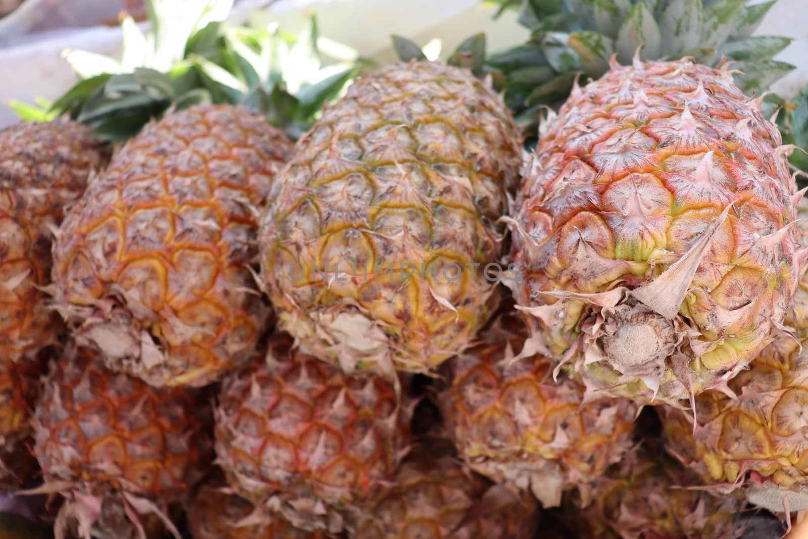 tasty and healthy pineapple stock on shop for sell