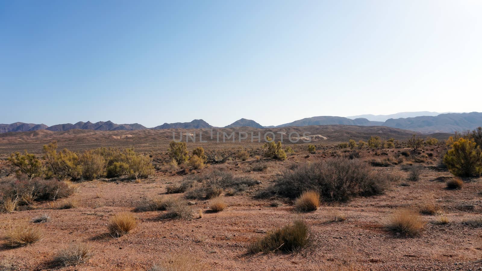 Autumn landscape of the steppe. View of dry bushes, small trees, sand with an orange-red hue, small stones, yellow-green trees. In the distance, you can see hills, clear blue sky and sun. Kazakhstan.