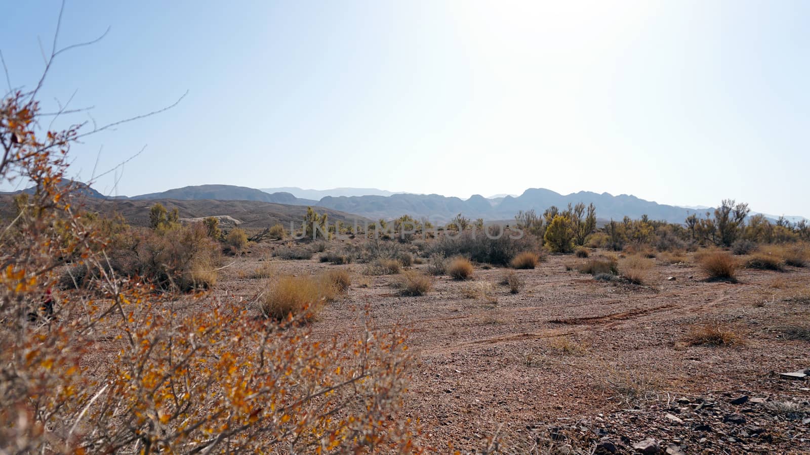 Autumn landscape of the steppe. View of dry bushes, small trees, sand with an orange-red hue, small stones, yellow-green trees. In the distance, you can see hills, clear blue sky and sun. Kazakhstan.