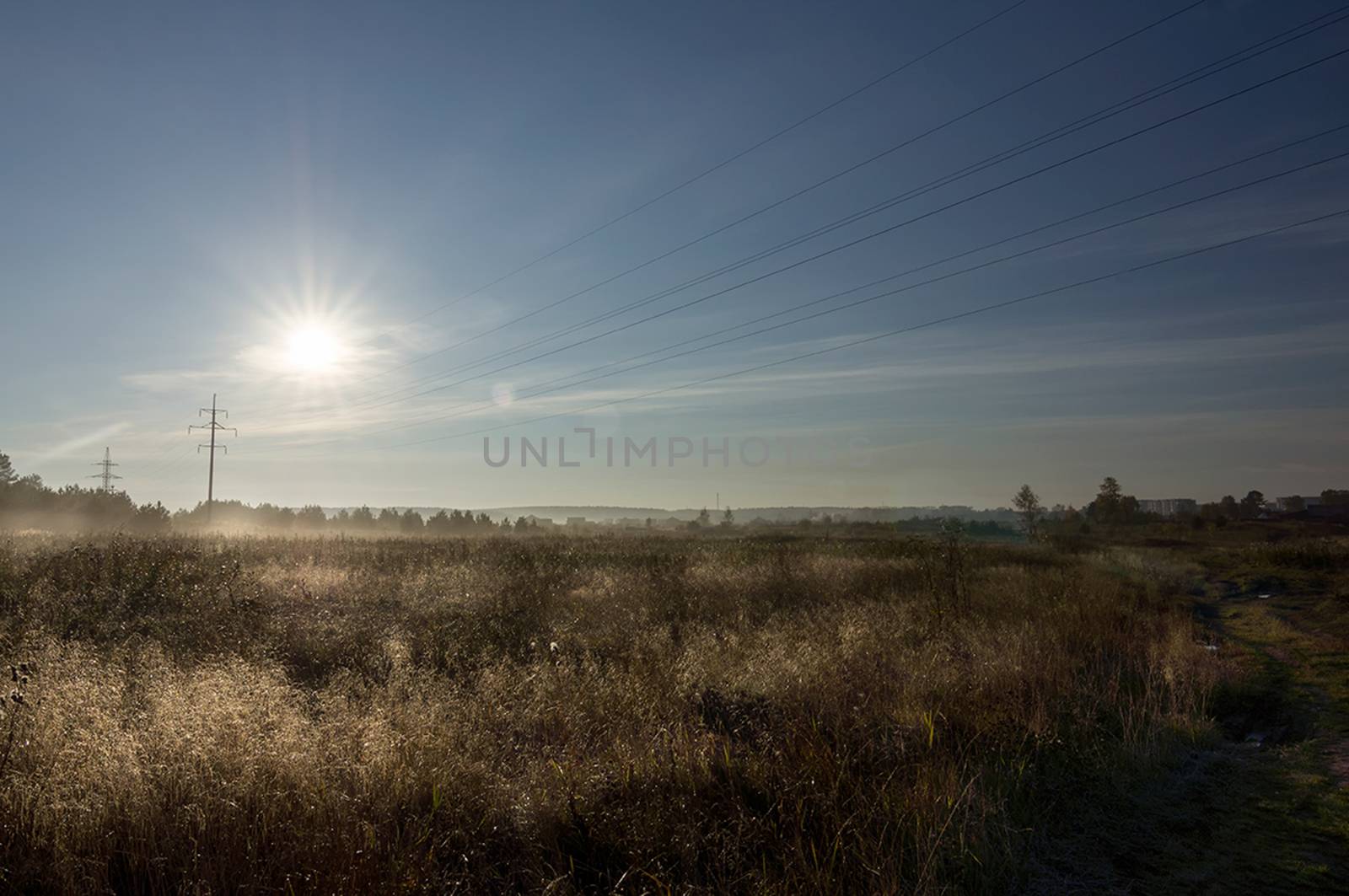 Dry grass on the field and blue sky. Nature landscape.