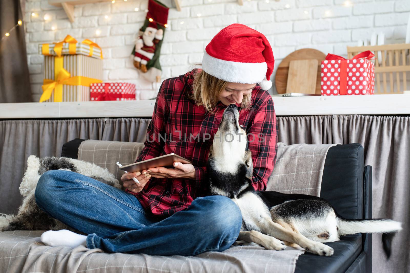 Christmas online greetings. young blond woman in santa hat working on tablet sitting on the couch with her dog