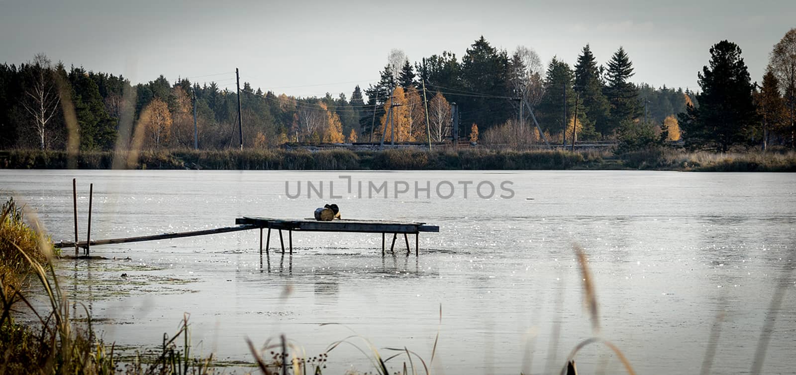 fishing pier on lake. empty pier on the pond. by DePo