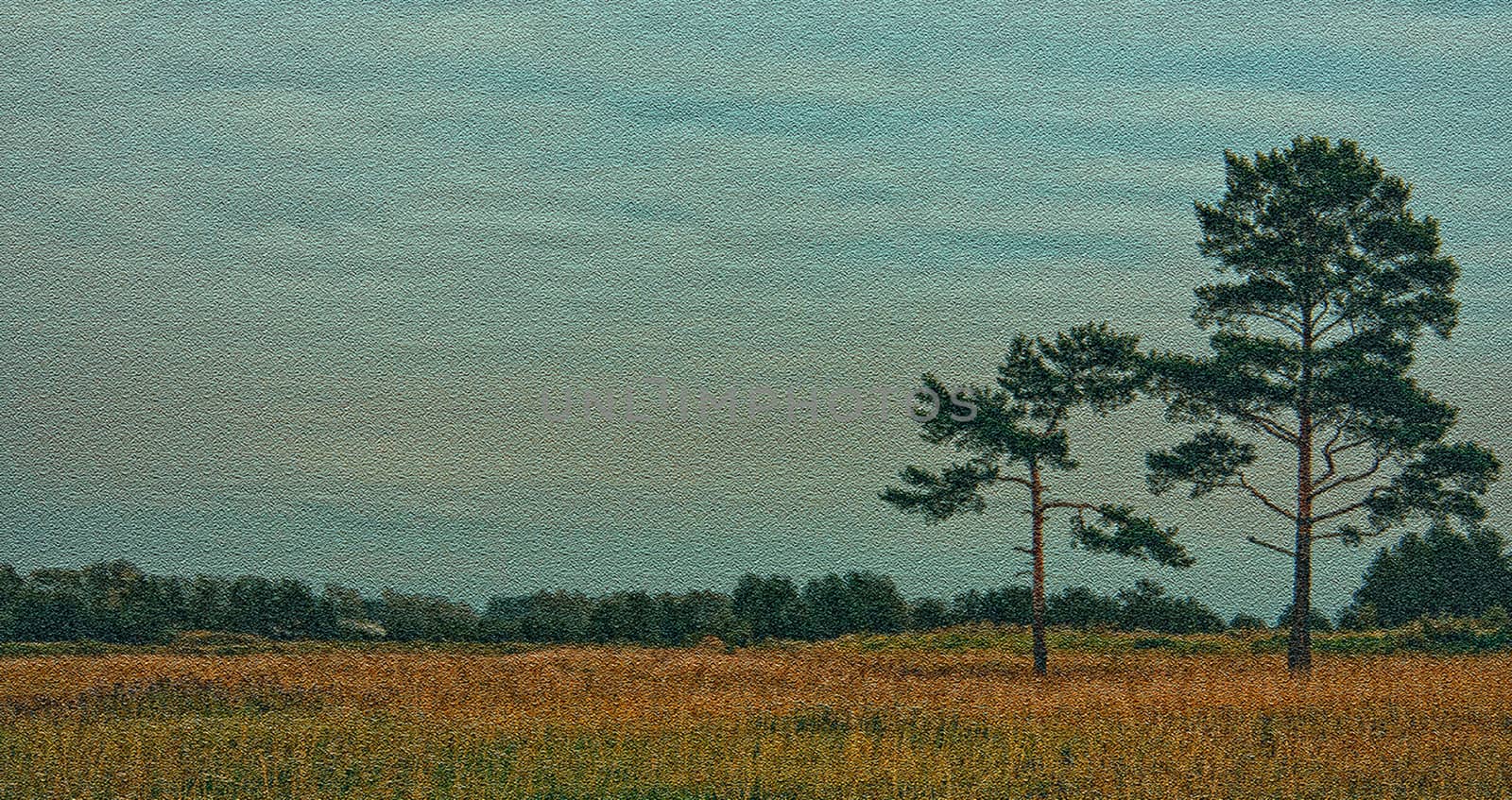 Nature landscape is forest and grass. Beautiful landscape.