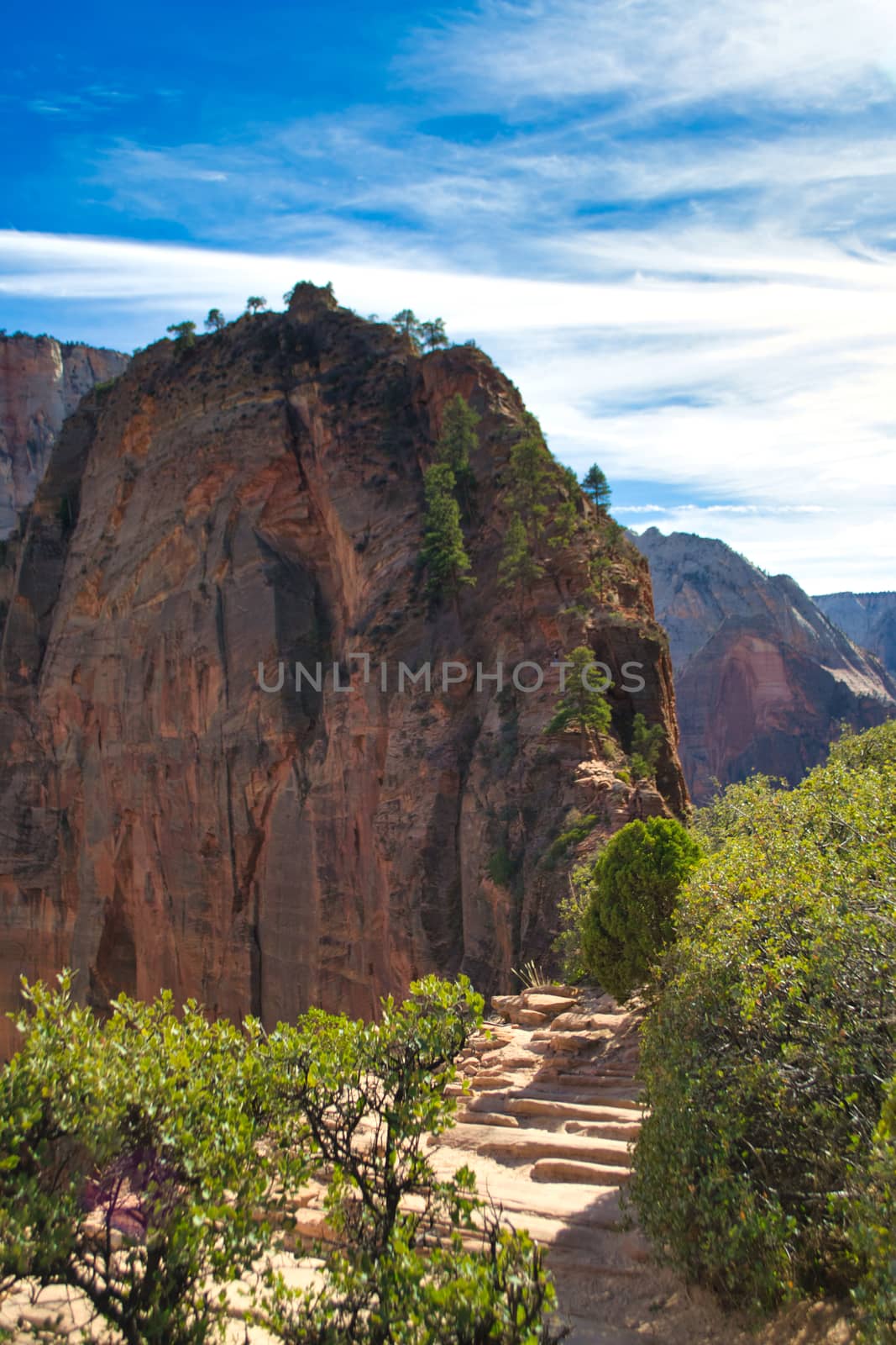 Hiking trail at Angels Landing in Zion national park, Utah, USA by kb79