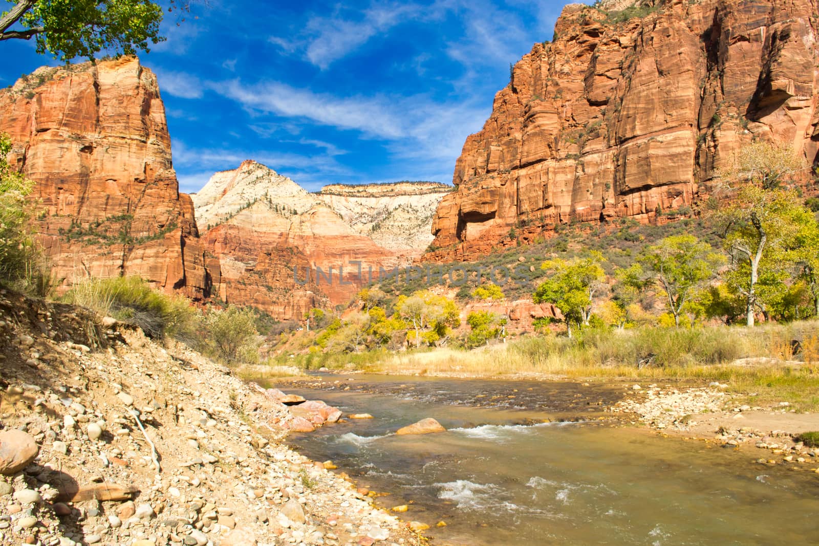 View on a river Virgin flowing through Zion national park in Utah, United states. Travel and tourism.