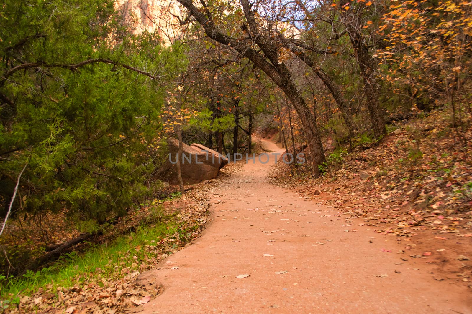 View on a hiking footpath in Zion national park in Utah, United States. Travel and tourism.