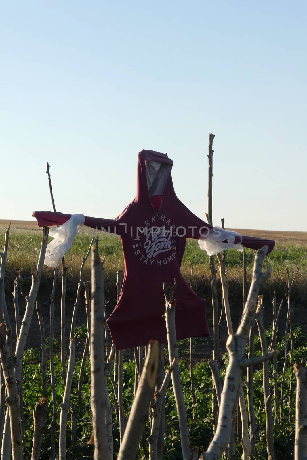 garden scarecrow in a garden, scarecrow made of human clothing,