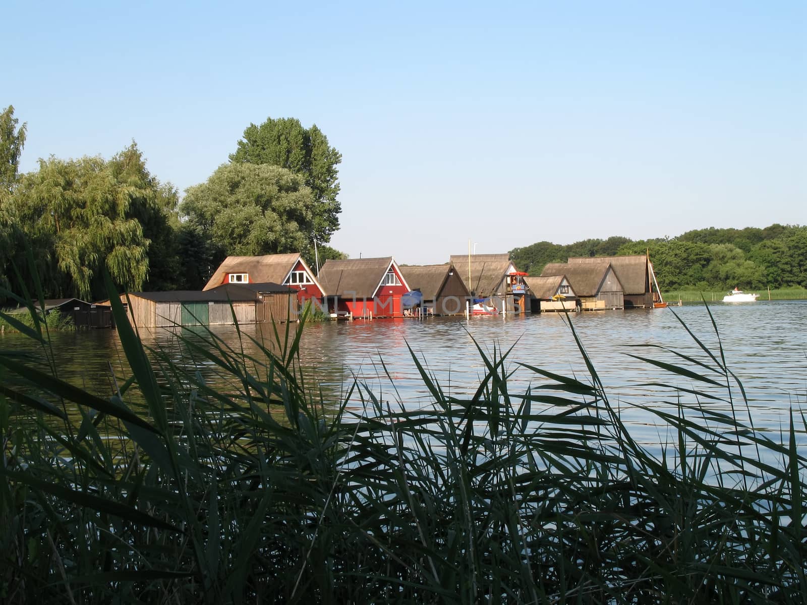 Lake Mueritz in evening light, Mecklenburg-Western Pomerania, Germany.