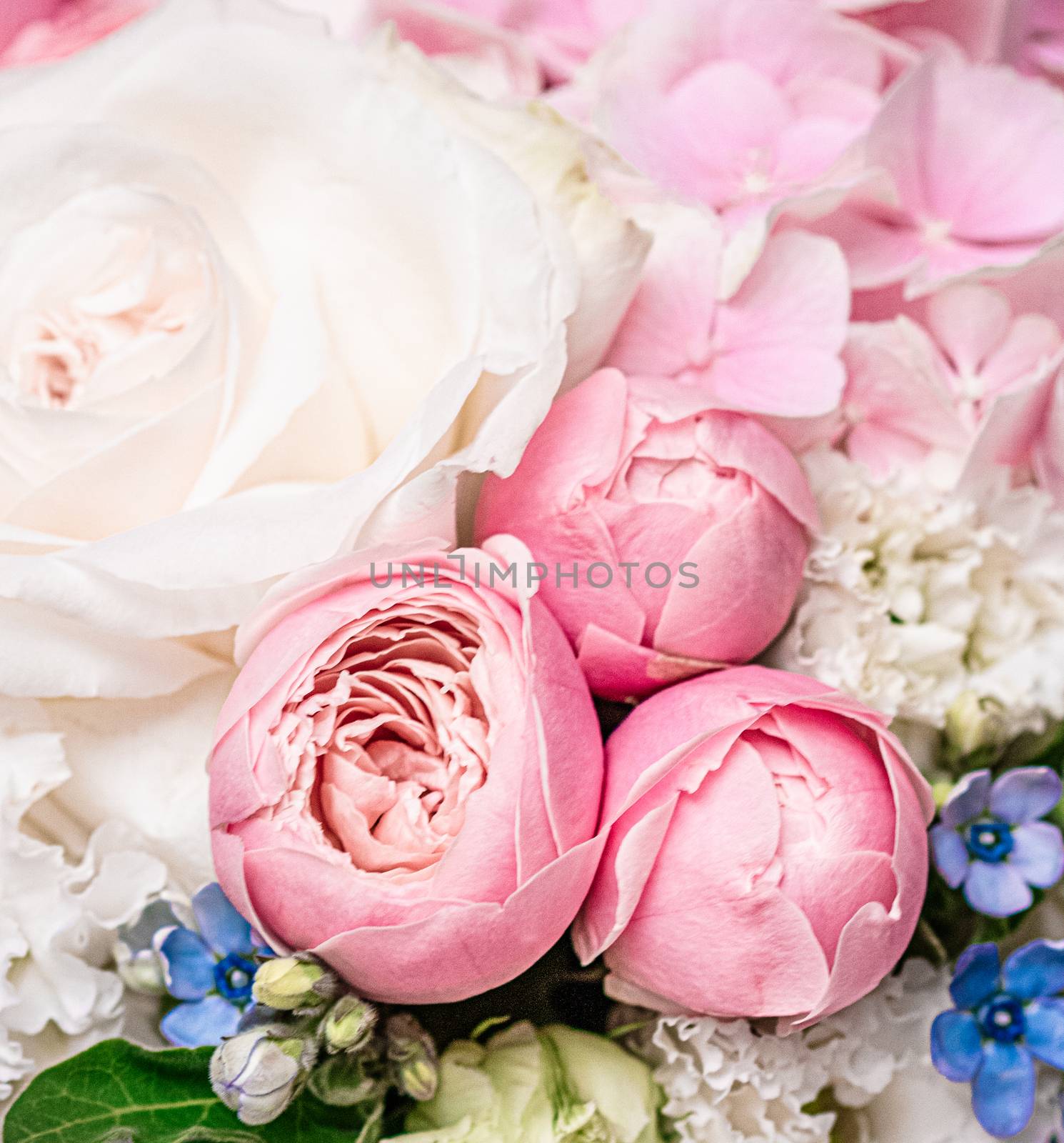 Floral bouquet as gift, rose flowers arrangement at flower shop or online delivery, romantic present and luxury home decoration