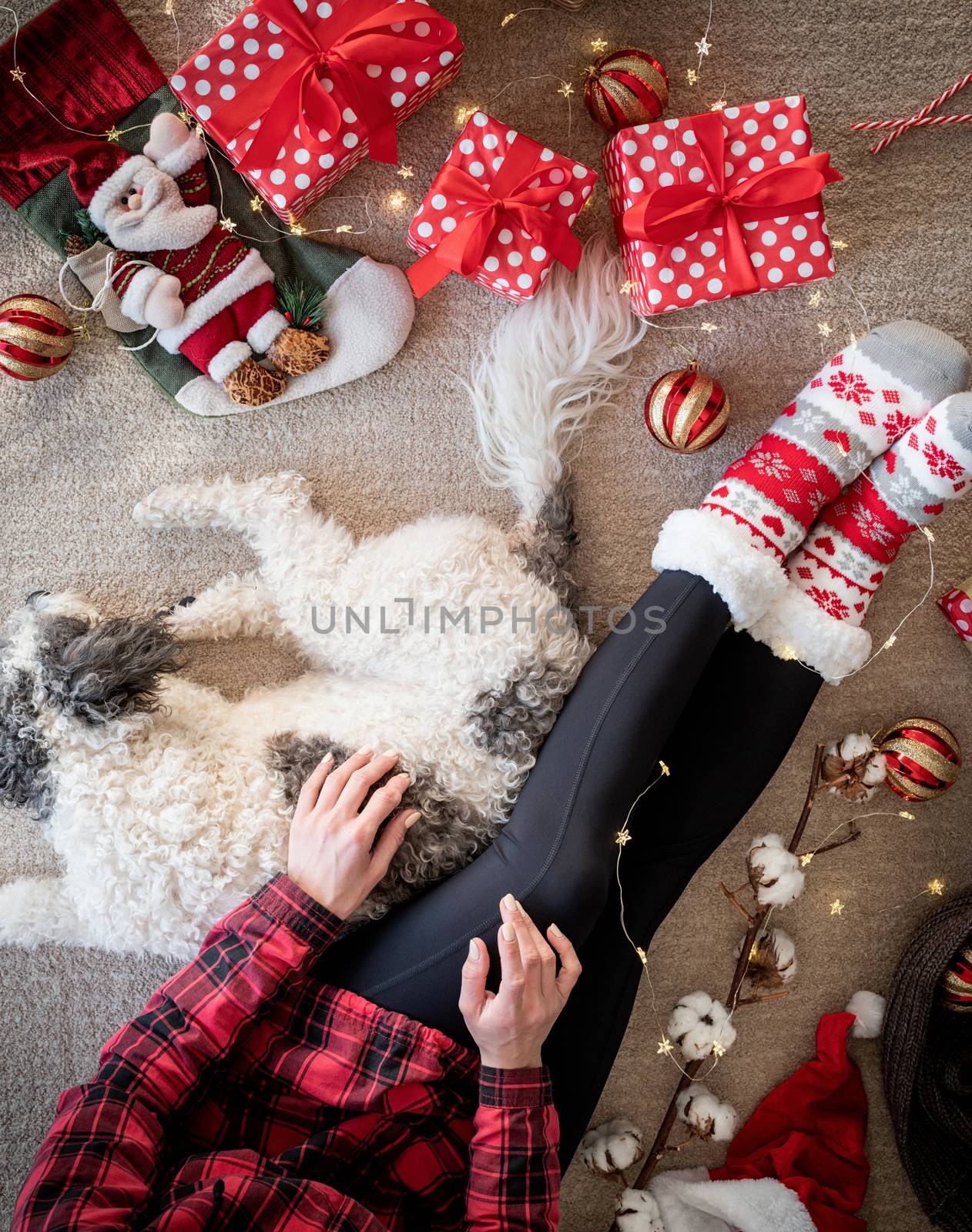 Top view of woman in funny socks celebrating Christmas with her dog by Desperada