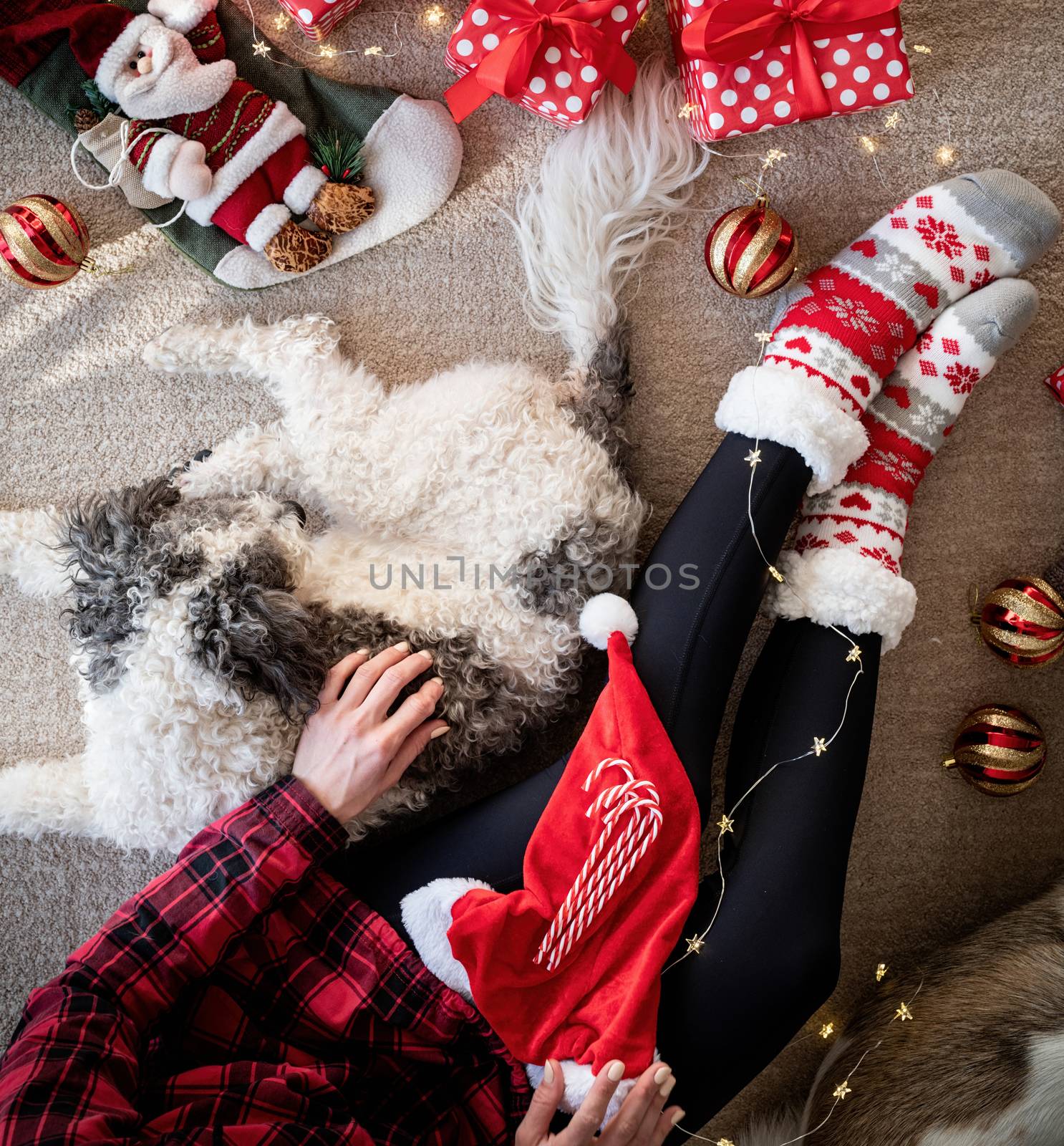 Christmas and New Year. Top view of woman in funny socks celebrating Christmas with her dog