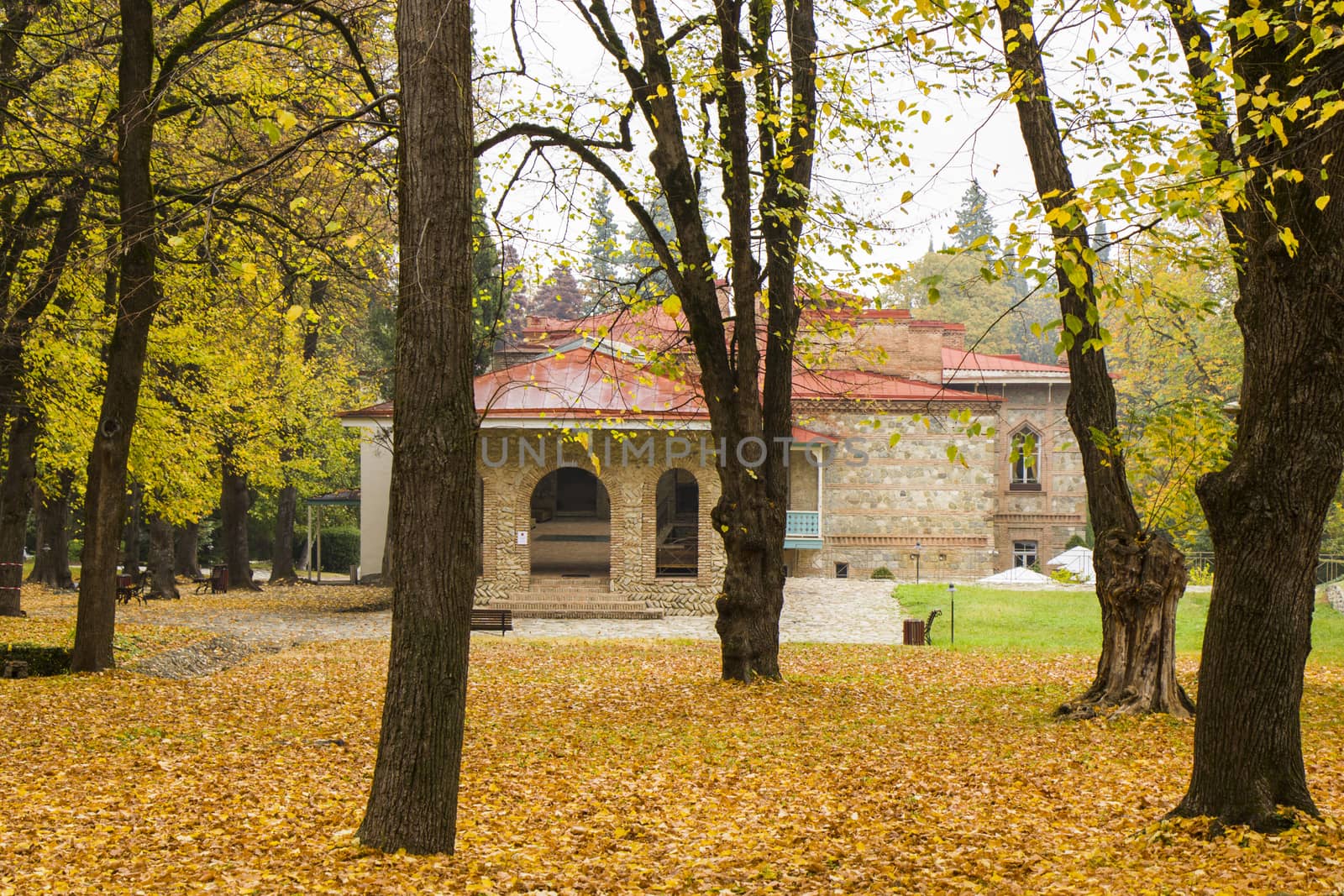 Park and garden in Tsinandali, Kakheti, Georgia. Autumn park landscape.