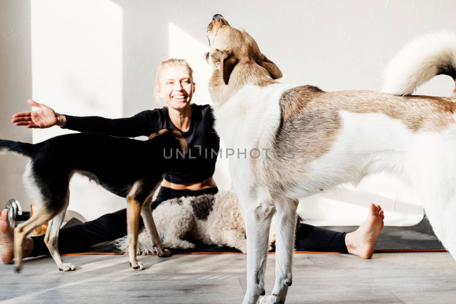 Healthy lifestyle. Sport and fitness. Happy young blond woman patting her dog at the home gym. Selective focus