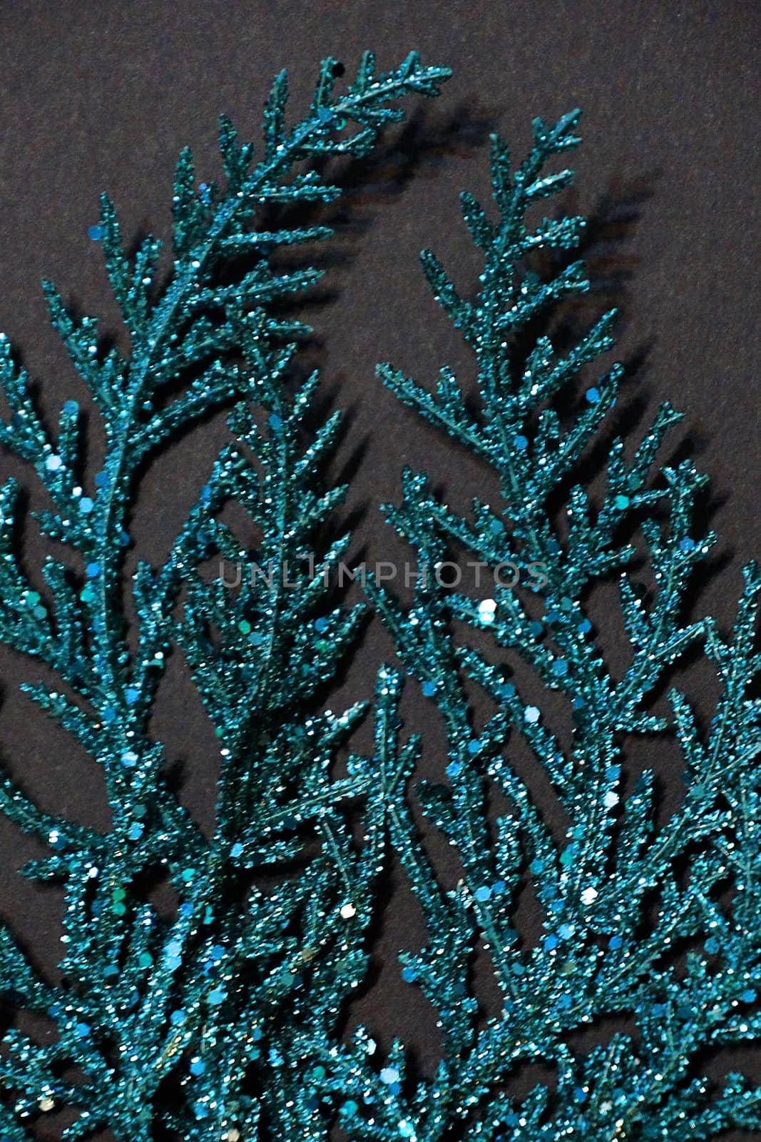 turquoise sparkling branch on a black background for Christmas blank.