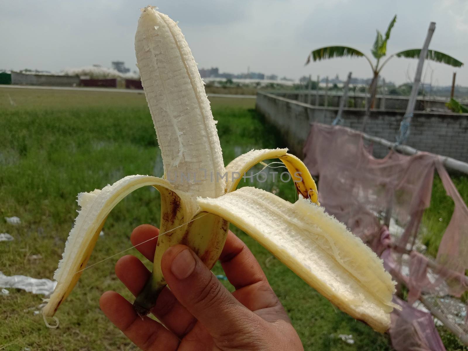 tasty and healthy expanded banana closeup on hand