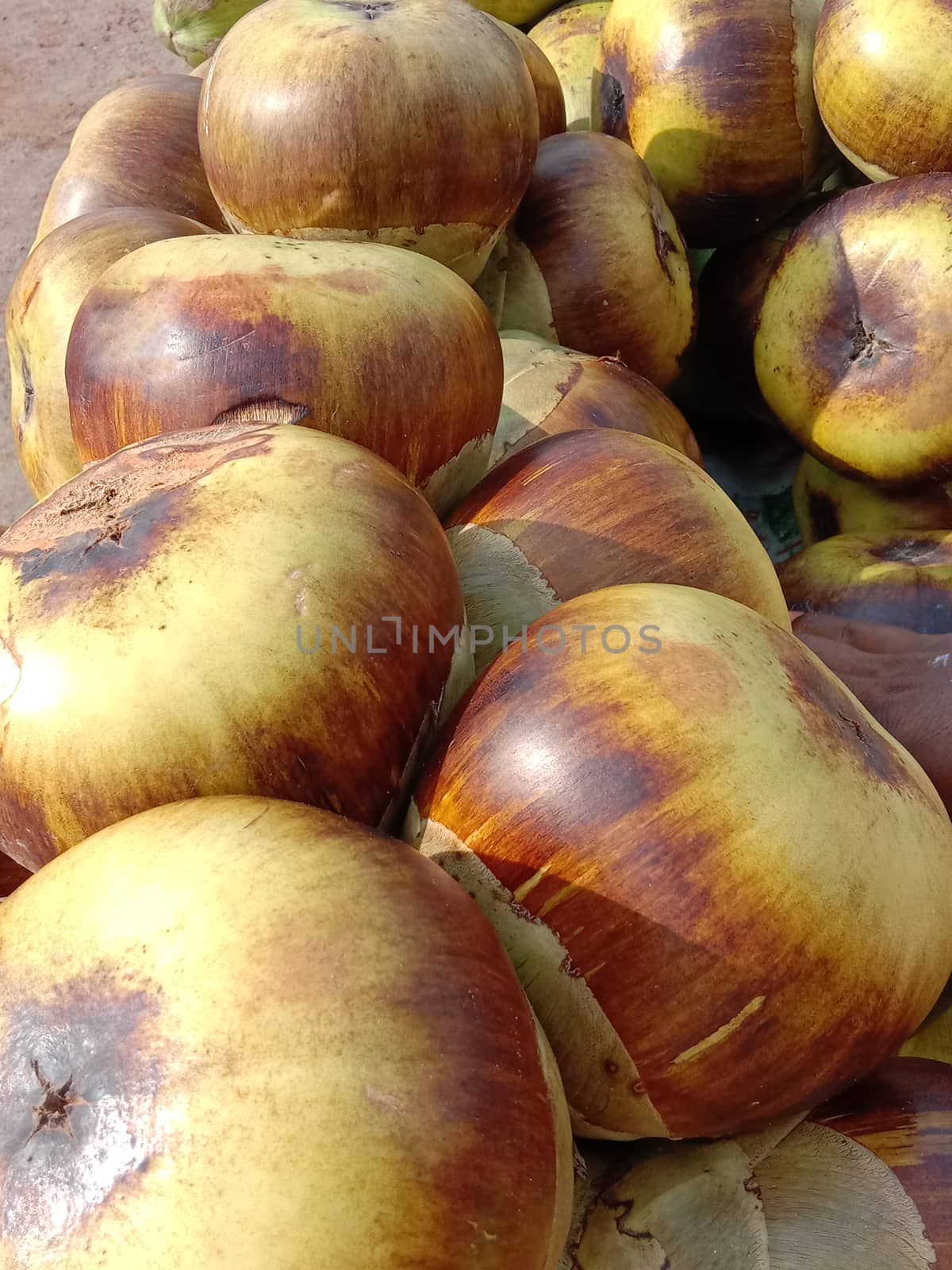 Tasty and Healthy Palmyra Palm Stock on Shop