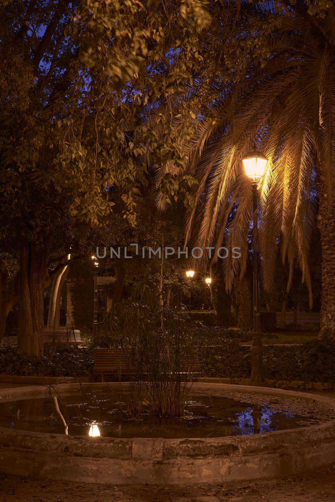 Romantic night park, with fountain and lamppost, reflections, lonely, warm