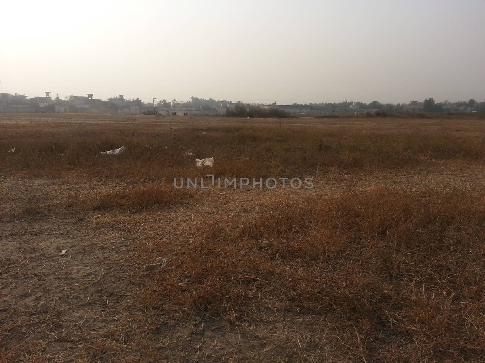 Arid brown grassland view of a rural land in hot weather on sunny day under blue sky