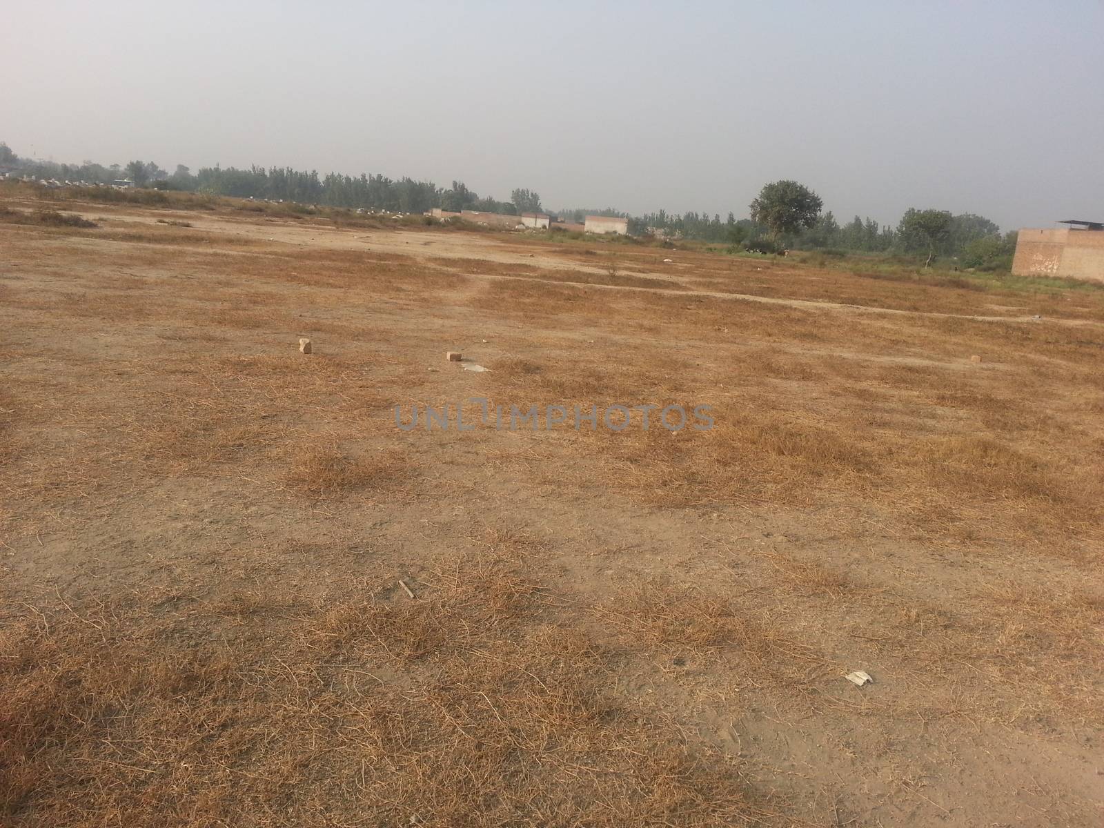 Arid brown grassland view of a rural land in hot weather on sunny day by Photochowk