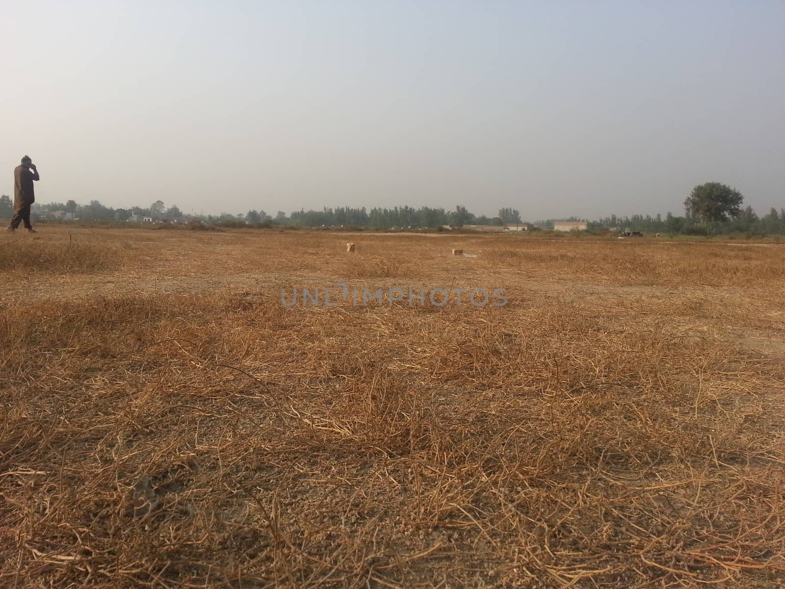 Arid brown grassland view of a rural land in hot weather on sunny day by Photochowk