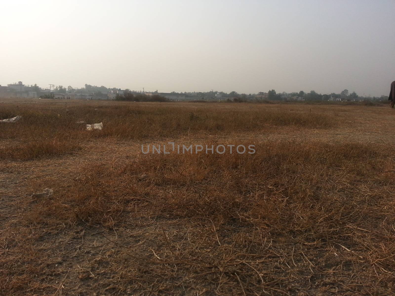 Arid brown grassland view of a rural land in hot weather on sunny day under blue sky
